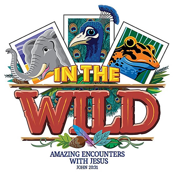 2019 VBS and VBX