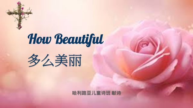 How Beautiful